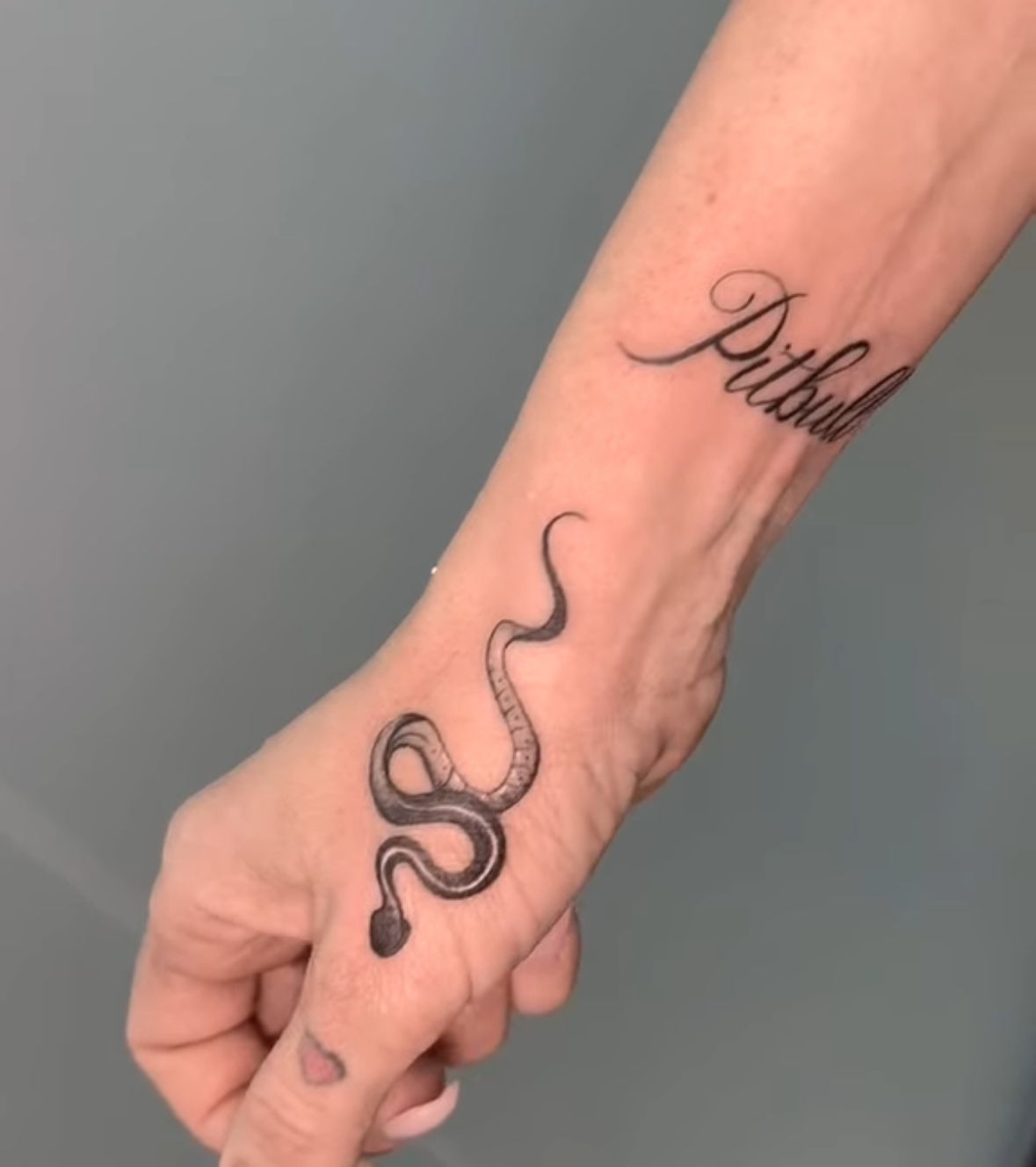 Tatuaggio serpente sulla mano e lettering 'Pitbull' sull'avambraccio